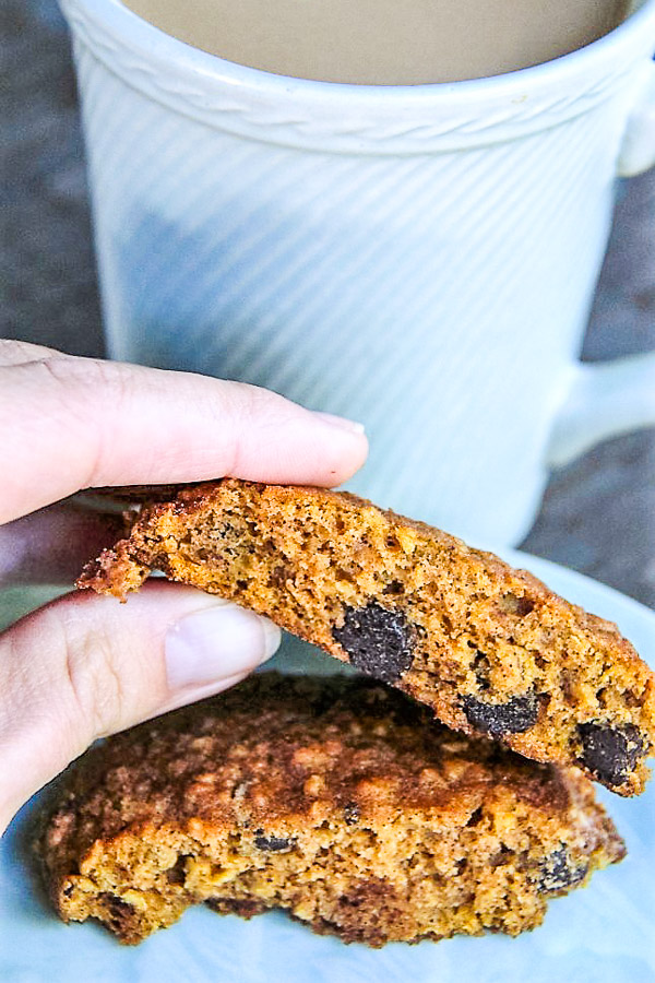 pumpkin chocolate chip cookies 3