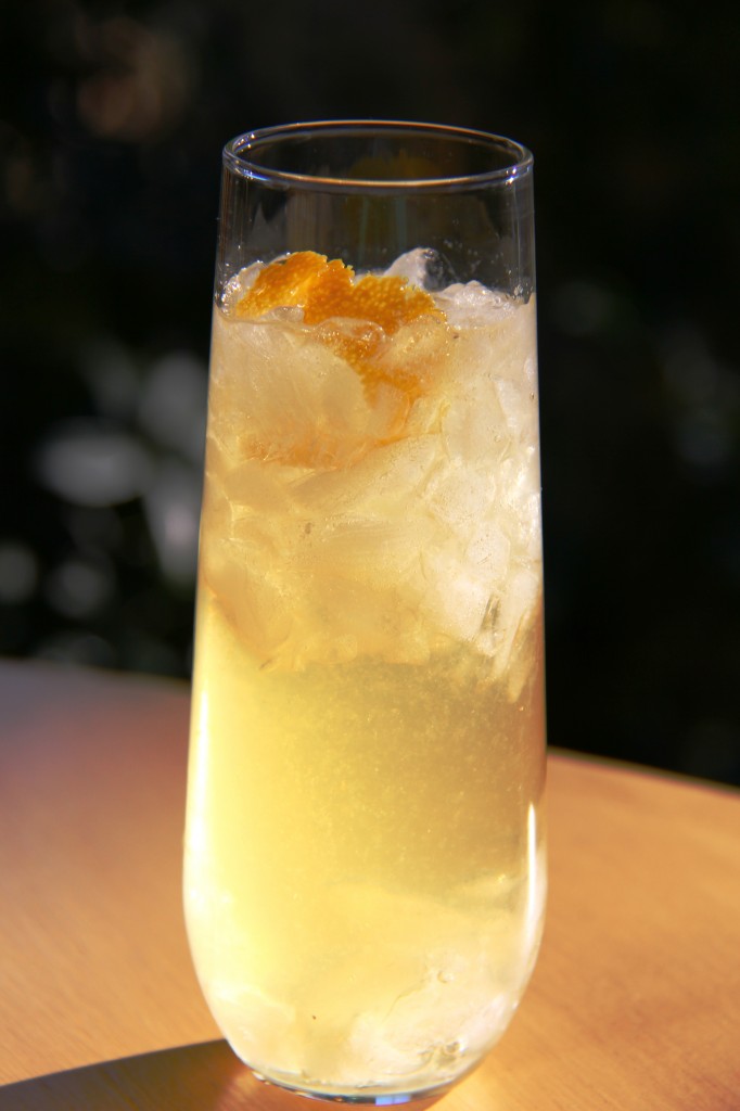 gin citrus cocktail 5