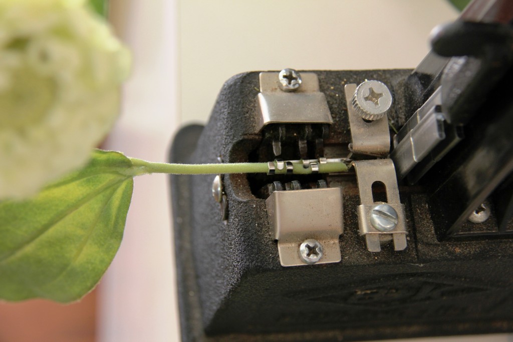 Easter Basket Floral Arrangement | Sumptuous Living