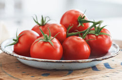 campari tomatoes for bruschetta recipe