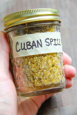 spice mix for cuban spiced salmon-5