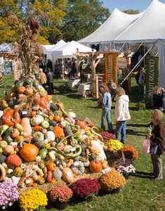 country living atlanta pumpkin patch