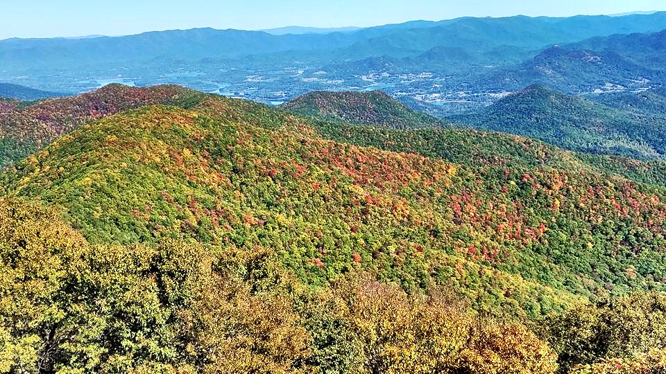 fall day trips from atlanta brasstown bald