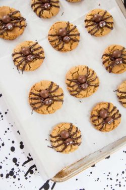 Halloween Spider Cookies-15
