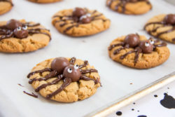 Halloween Spider Cookies-19