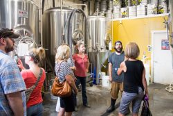 brhamari best asheville brewery tour